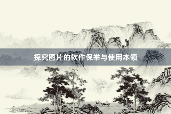 探究图片的软件保举与使用本领