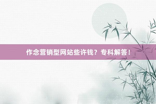作念营销型网站些许钱？专科解答！