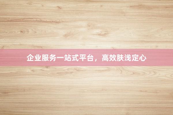 企业服务一站式平台，高效肤浅定心