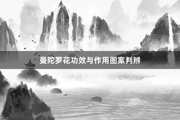 曼陀罗花功效与作用图案判辨