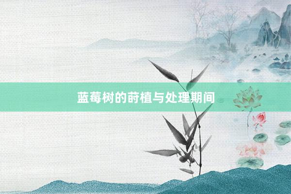 蓝莓树的莳植与处理期间