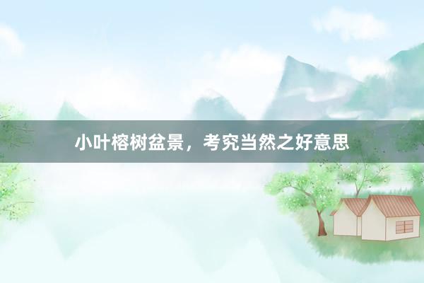 小叶榕树盆景，考究当然之好意思
